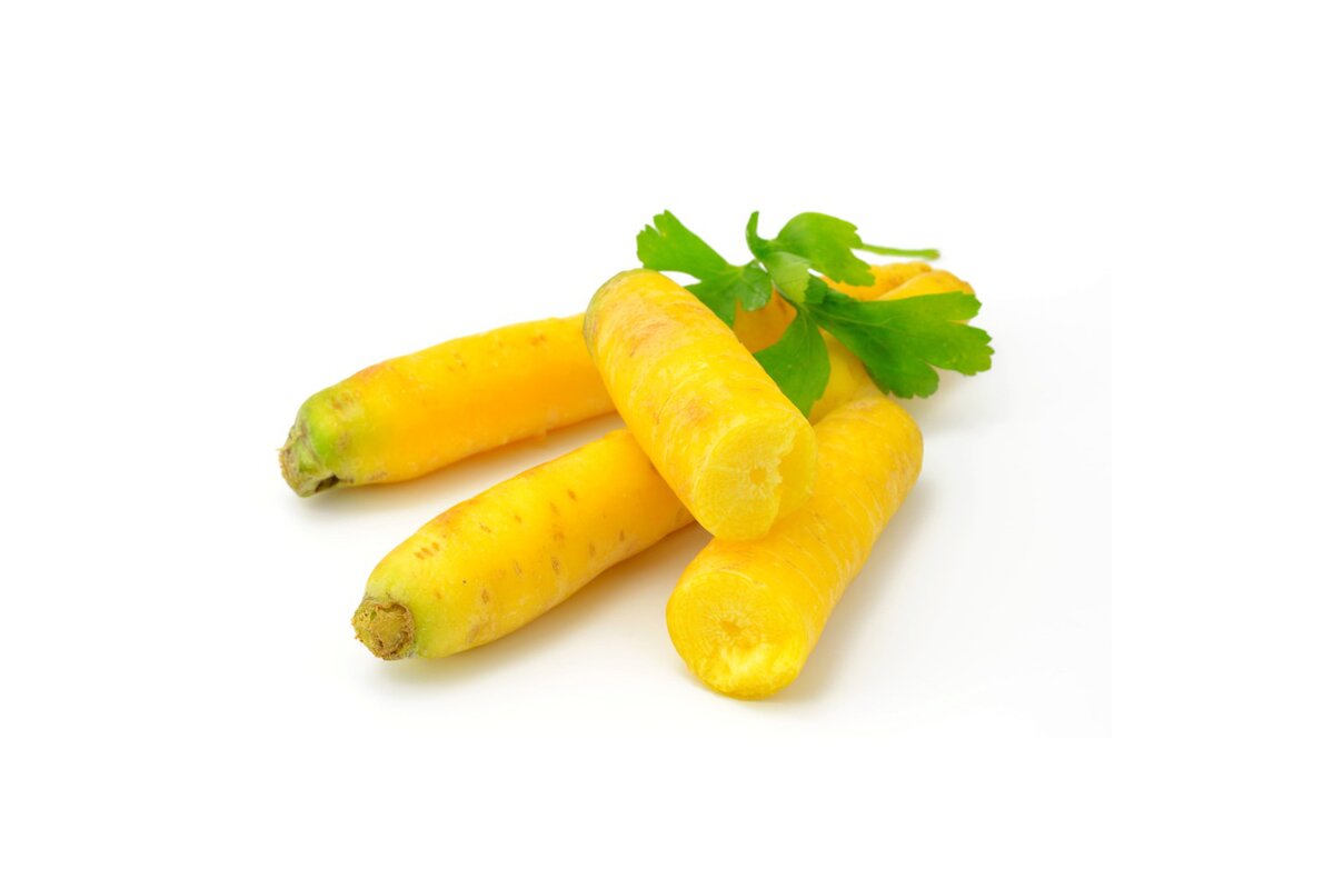 Mrkva žltá