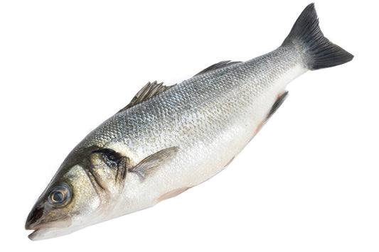 Ryba Morský vlk chladený cca 550 - 750 g